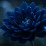 Midnight Bloom Review: Pacing Justifies 16 Episodes? Midnight Bloom drama review, detailed flower blossom in blue tones